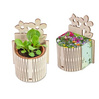 My Tiny Garden Blümchen - Sommerblumenmischung