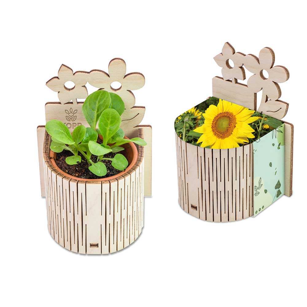 My Tiny Garden Blümchen - Sonnenblume