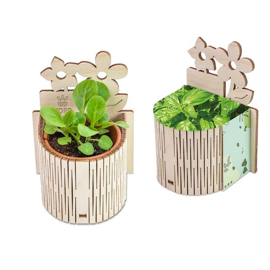 My Tiny Garden Blümchen - Basilikum, inkl. Lasergravur