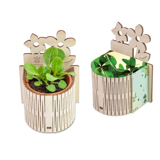 My Tiny Garden Blümchen - Glücksklee-Zwiebel, inkl. Lasergravur (* Je nach Verfügbarkeit der Glücksklee-Zwiebeln)