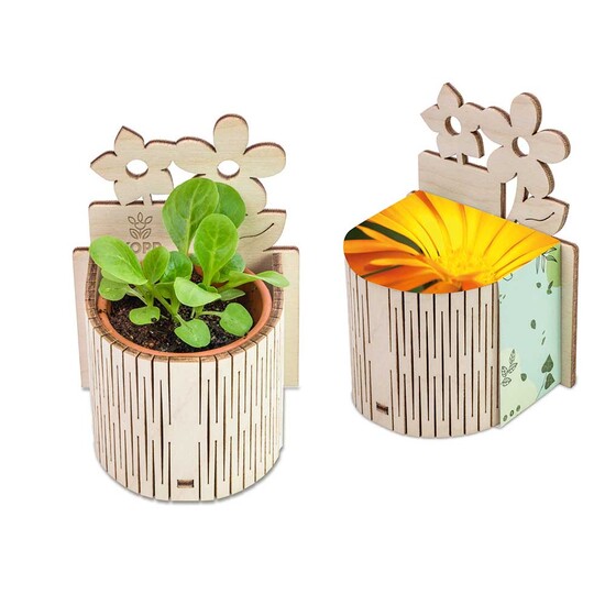 My Tiny Garden Blümchen - Ringelblume, inkl. Lasergravur