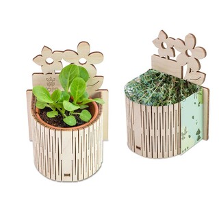 My Tiny Garden Blümchen - Thymian, inkl. Lasergravur