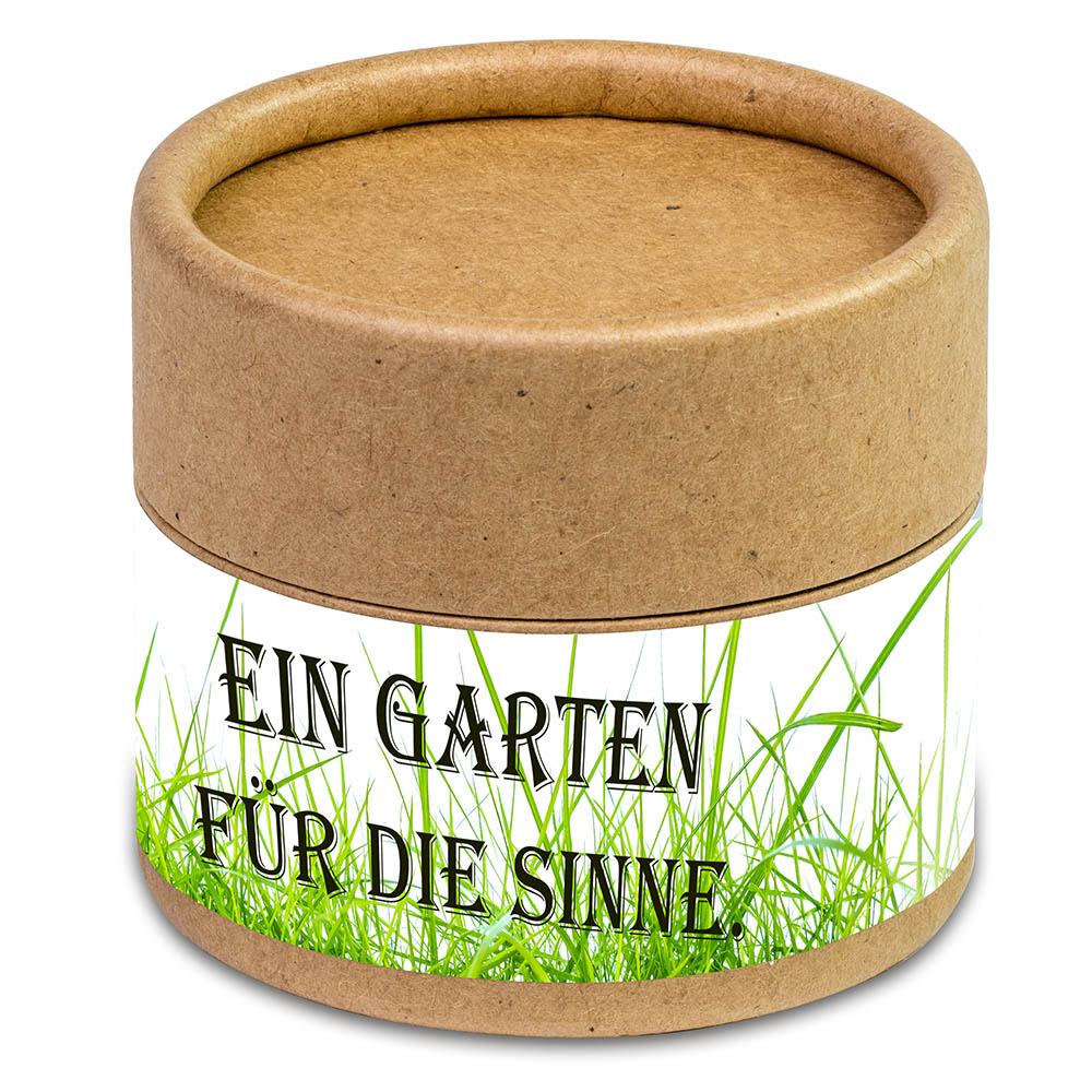 Pflanz-Cup mit Samen - Fichte