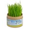Pflanz-Cup mit Samen - Thymian
