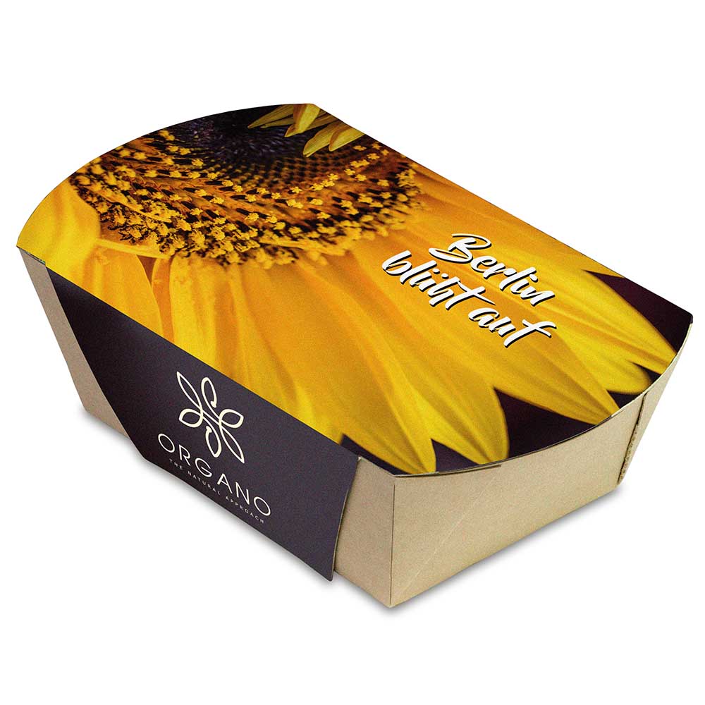 Pflanz-Schale mit Samen - Petersilie