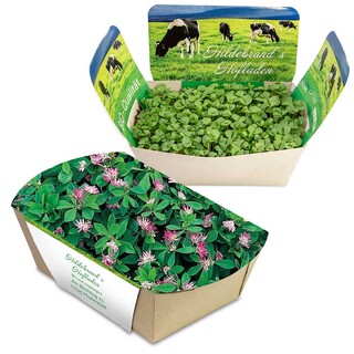 Pflanzodrom mit Samen - Persischer Klee