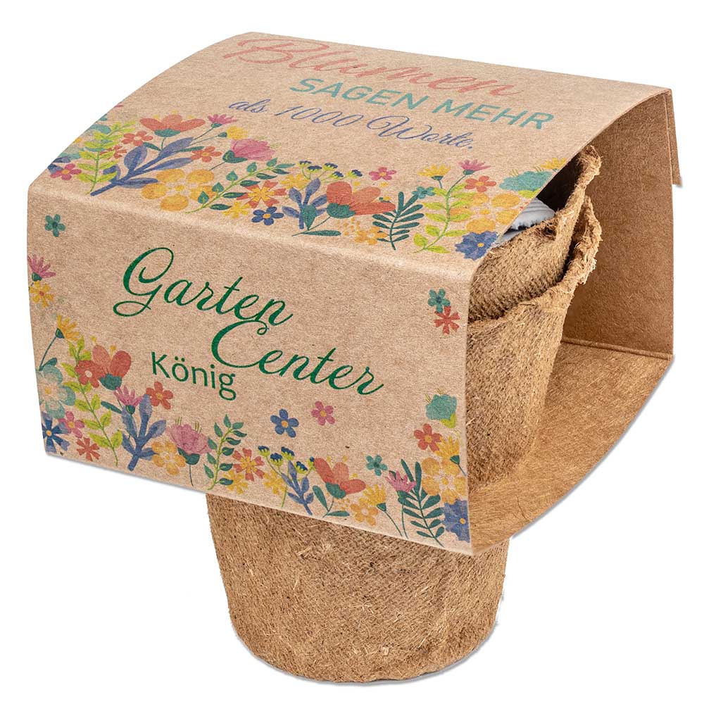 Anzucht-Set mit Samen - Fichte