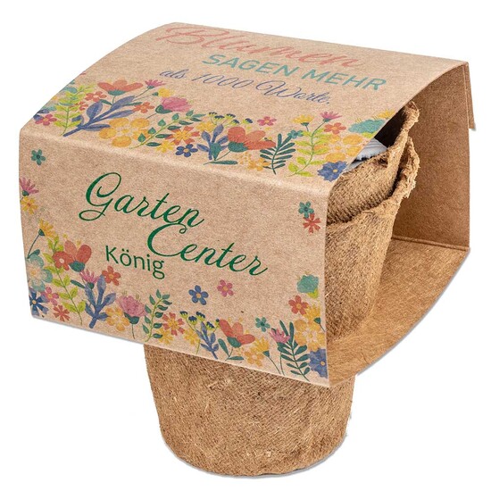 Anzucht-Set mit Samen - Fichte