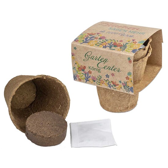 Anzucht-Set mit Samen - Fichte