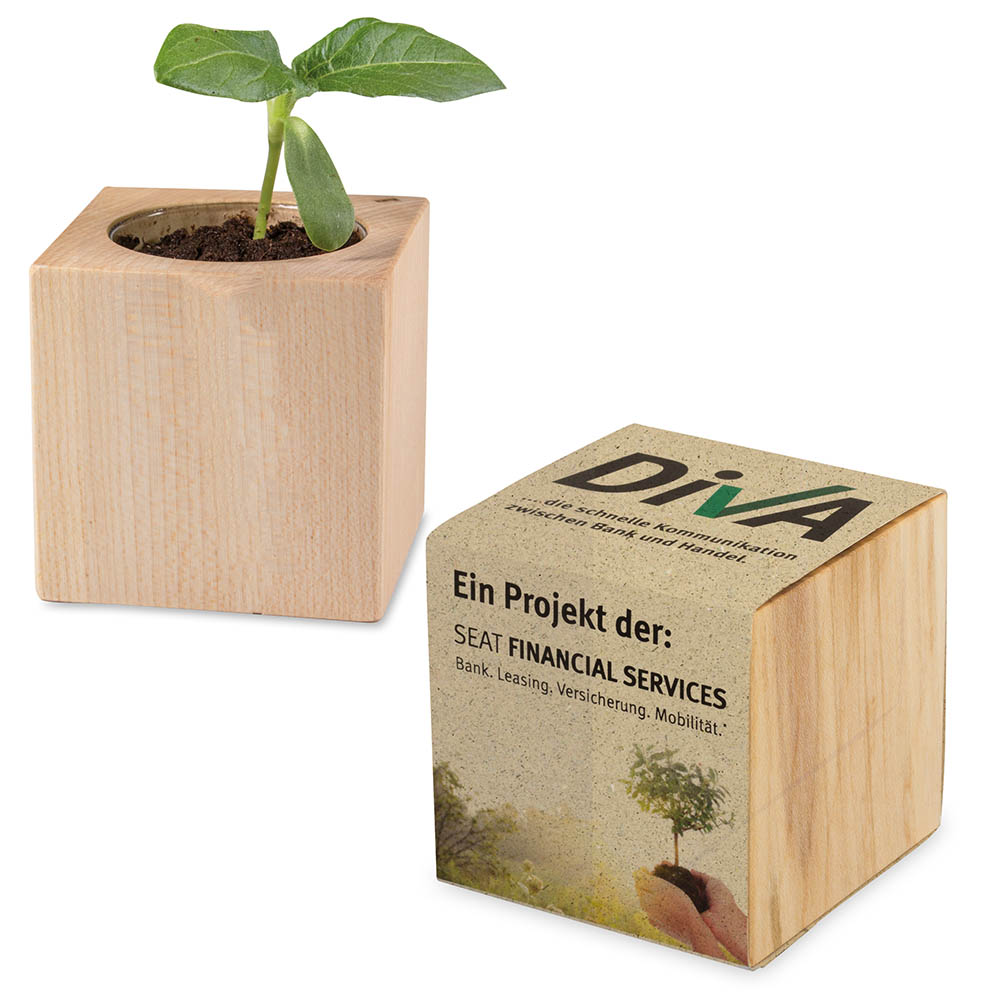 Pflanz-Holz mit Samen (Graspapier-Banderole) - Schnittlauch