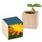 Pflanz-Holz mit Samen - Ringelblume