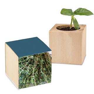 Pflanz-Holz mit Samen - Thymian