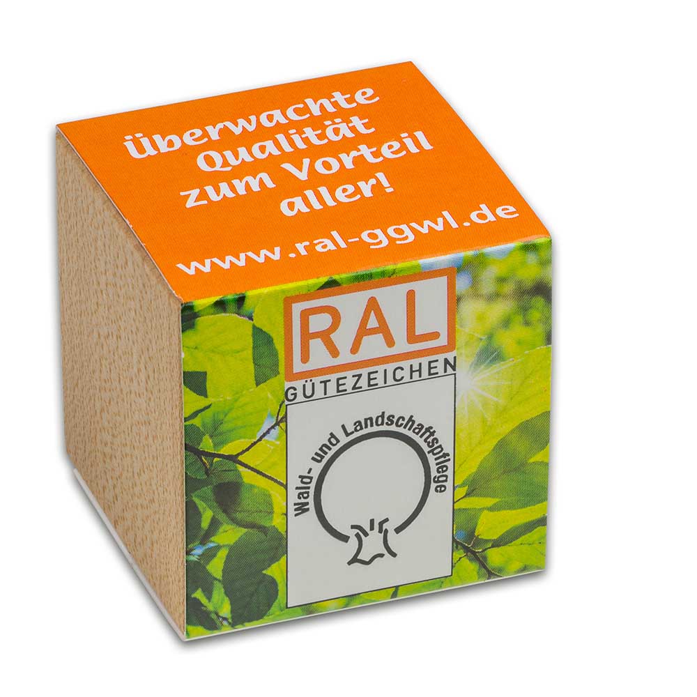 Pflanz-Holz mit Samen (Graspapier-Banderole) - Fichte, 2 Seite gelasert