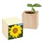 Pflanz-Holz mit Samen (Graspapier-Banderole) - Sonnenblume, 2 Seiten gelasert