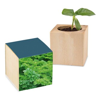 Pflanz-Holz mit Samen - Petersilie, 2 Seiten gelasert