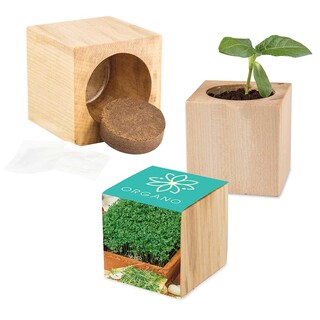 Pflanz-Holz Maxi mit Samen - Gartenkresse