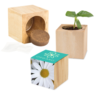 Pflanz-Holz Maxi mit Samen - Margerite, 1 Seite gelasert