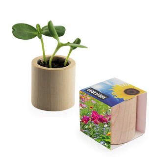 Pflanz-Holz rund mit Samen - Sommerblumenmischung, Lasergravur