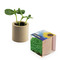 Pflanz-Holz rund mit Samen - Gartenkresse, Rundum-Lasergravur