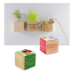 Pflanz-Holz Magnet mit Samen - Gartenkresse