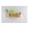 Pflanz-Holz Magnet mit Samen - Persischer Klee