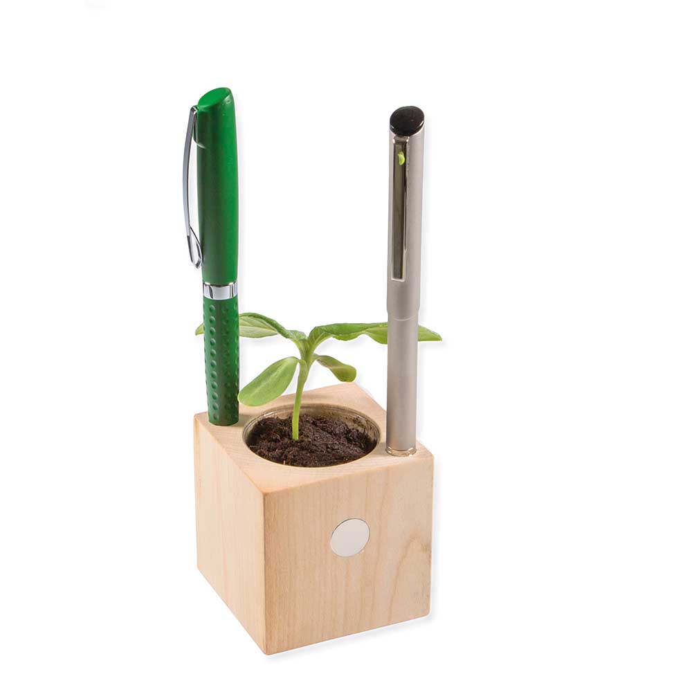 Pflanz-Holz Büro mit Samen - Ringelblume, 2 Seiten gelasert