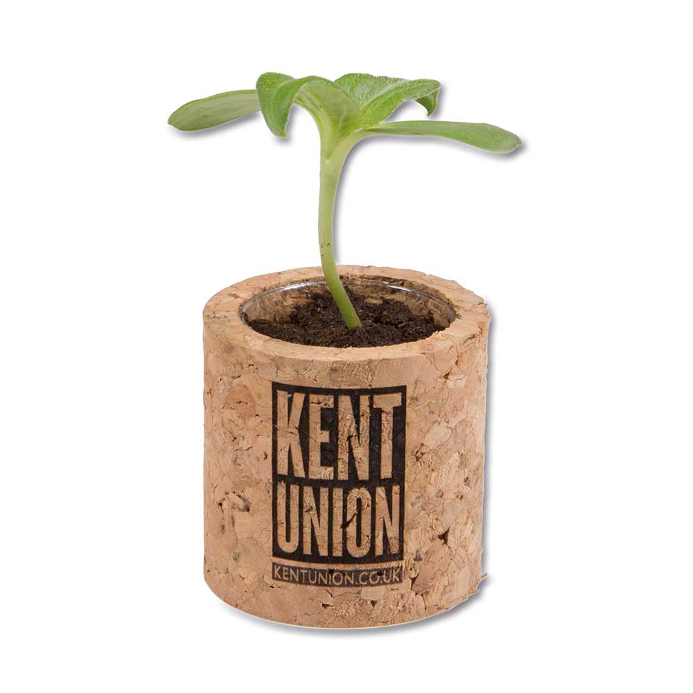 Pflanz-Kork rund mit Samen - Basilikum, Lasergravur