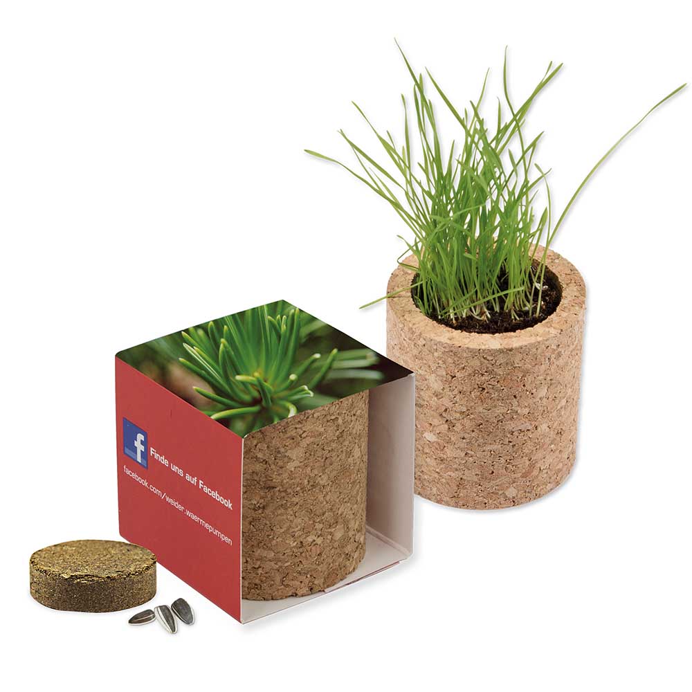 Pflanz-Kork rund mit Samen - Fichte, Lasergravur