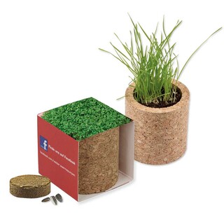 Pflanz-Kork rund mit Samen - Gartenkresse, Lasergravur
