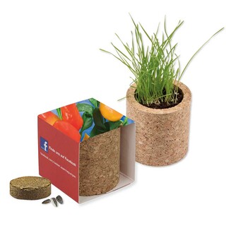 Pflanz-Kork rund mit Samen - Gewürzpaprika, Lasergravur