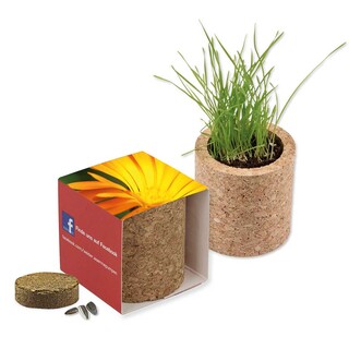 Pflanz-Kork rund mit Samen - Ringelblume, Lasergravur