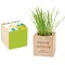 Pflanz-Holz - Standardmotiv - Ostern - 1 Seite gelasert