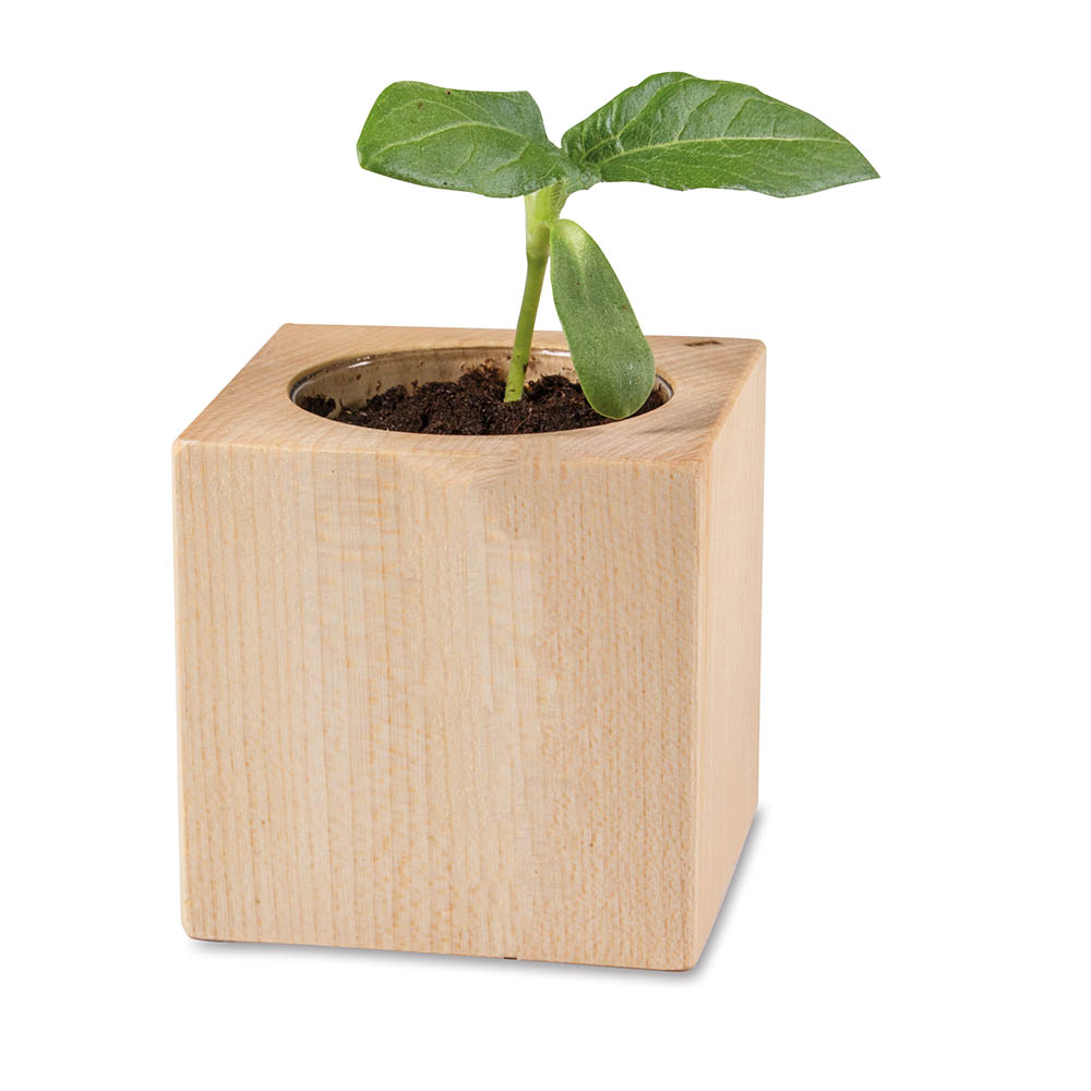 Pflanz-Holz - Standardmotiv - Sonnenblume - 2 Seiten gelasert