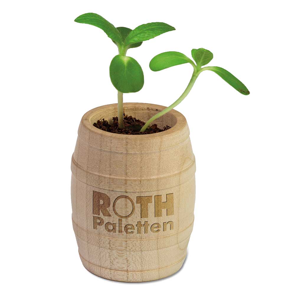 Pflanz-Fässchen mit Samen - Petersilie, Lasergravur