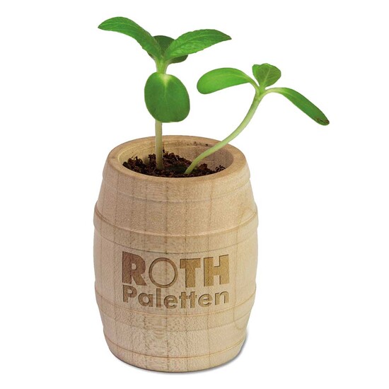 Pflanz-Fässchen mit Samen - Petersilie, Lasergravur