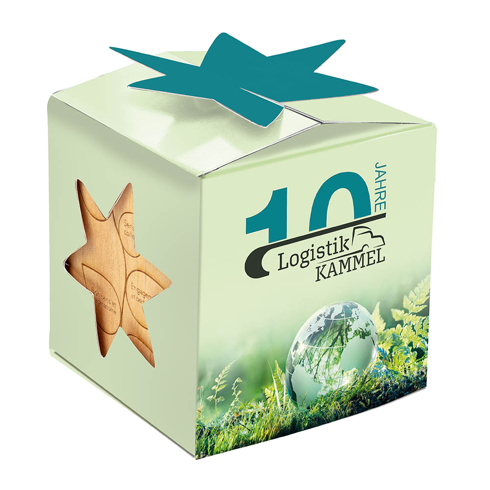 Pflanz-Holz Star-Box mit Samen - Persischer Klee