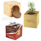 Pflanz-Holz Star-Box mit Samen - Fichte, 1 Seite gelasert