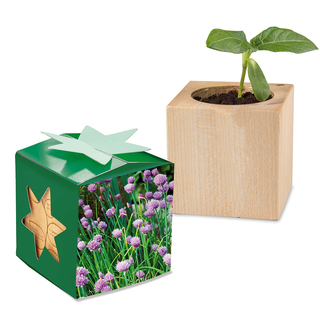 Pflanz-Holz Star-Box mit Samen - Schnittlauch, 2 Seiten gelasert