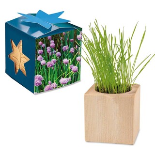 Pflanz-Holz Maxi Star-Box mit Samen - Schnittlauch