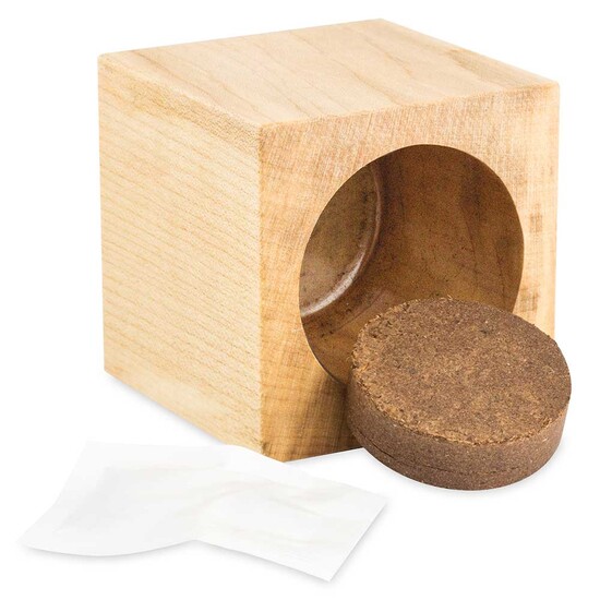 Pflanz-Holz Maxi Star-Box mit Samen - Fichte, 2 Seiten gelasert
