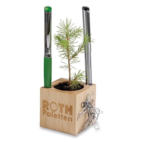 Pflanz-Holz Büro Star-Box mit Samen - Ringelblume, 1 Seite gelasert