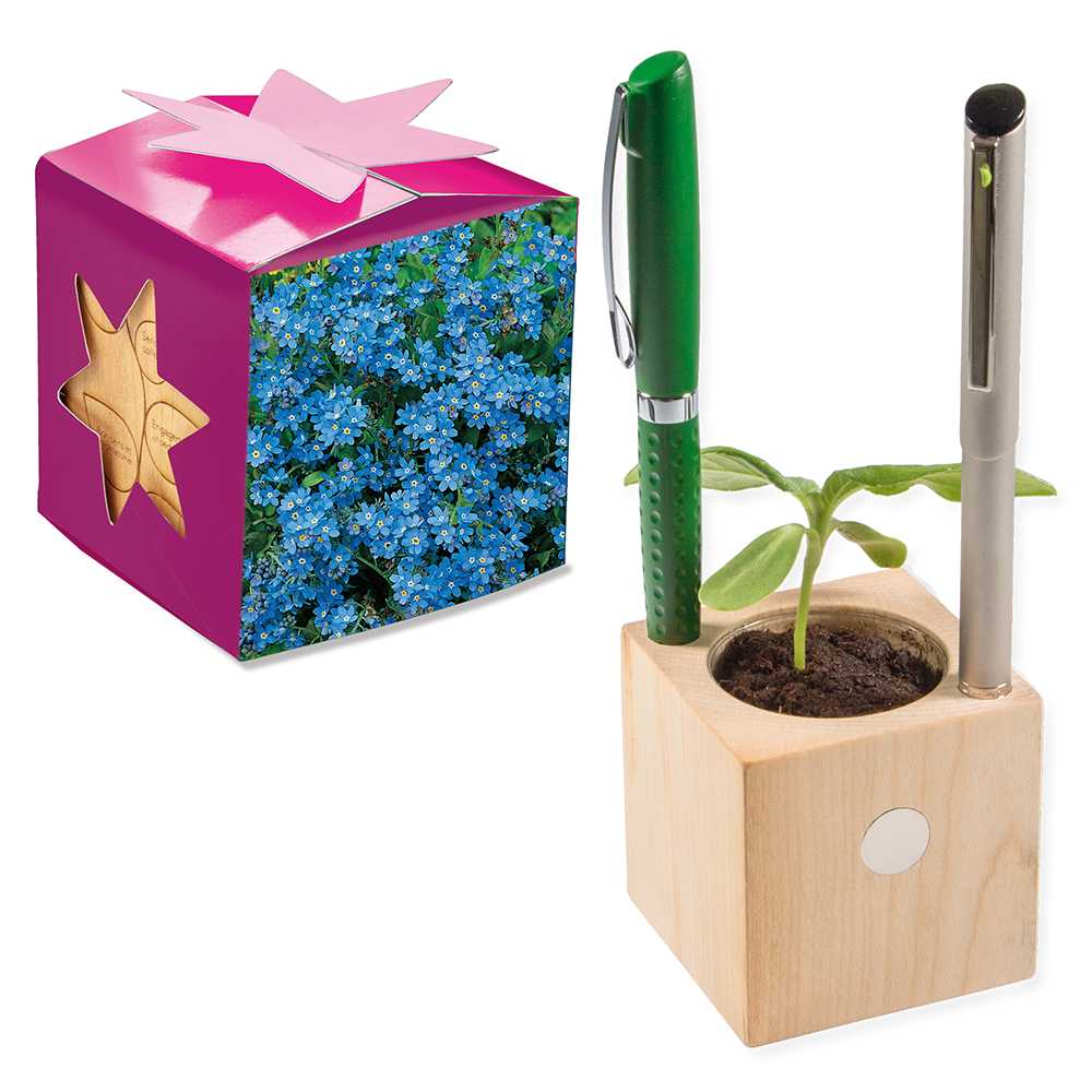 Pflanz-Holz Büro Star-Box mit Samen - Vergissmeinnicht, 2 Seiten gelasert