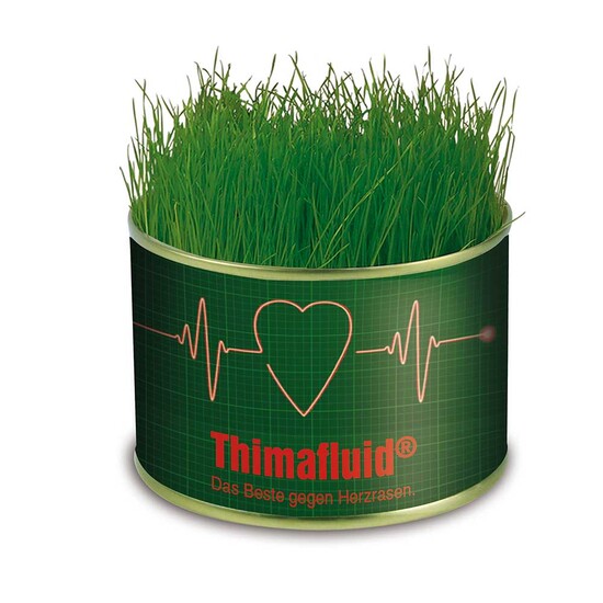 Natur-Konserve mit Samen - Petersilie