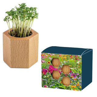 Pflanz-Holz Hexagon mit Samen - Sommerblumenmischung