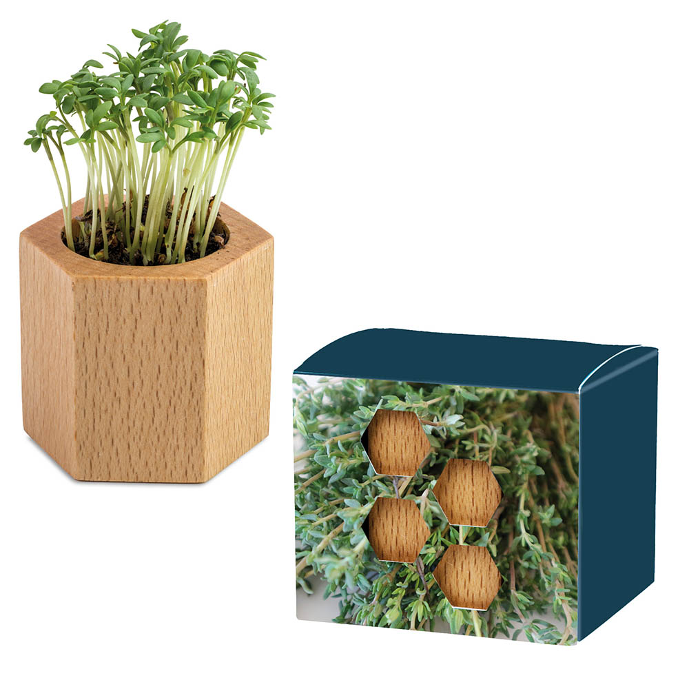 Pflanz-Holz Hexagon mit Samen - Thymian
