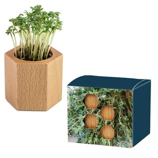 Pflanz-Holz Hexagon mit Samen - Thymian