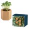 Pflanz-Holz Hexagon mit Samen - Thymian
