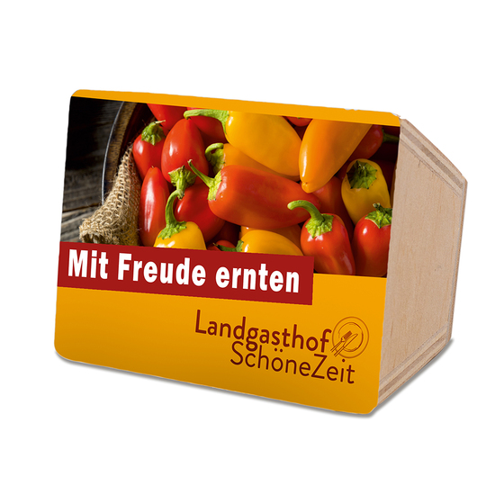 Mini-Beet mit Samen