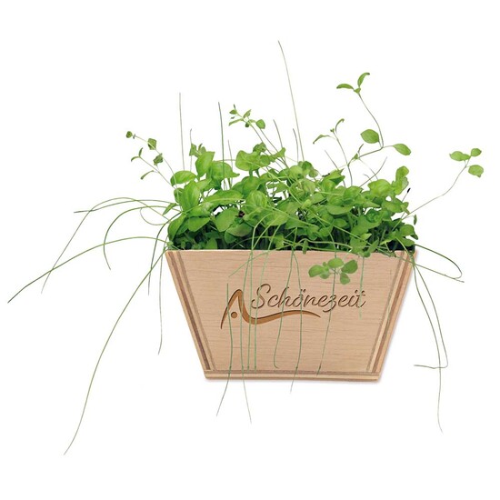 Mini-Beet mit Samen - Basilikum, Lasergravur
