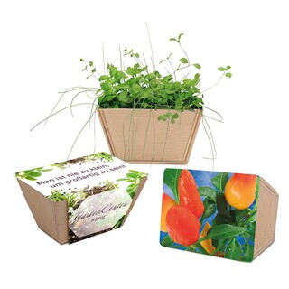 Mini-Beet mit Samen - Gewürzpaprika, 1 Seite gelasert